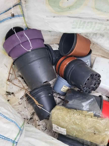 Photo of free plant pots (Craven Arms SY7) #2