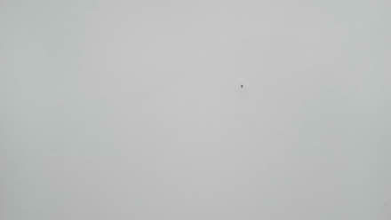 Photo of free White IKEA desk, adjustable height (Fulham Palace Rd SW6) #3