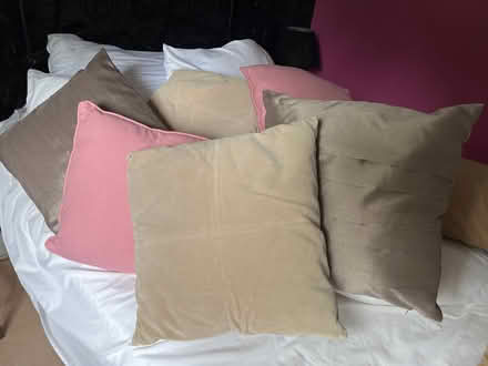 Photo of free 6 cushions complementary colours (Langstone) #1