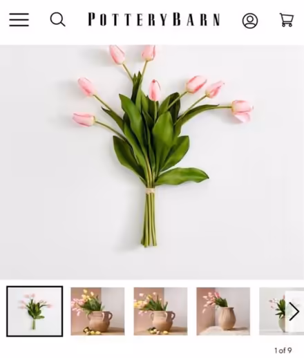 Photo of free Tall faux pottery barn tulip stems (Lafayette) #3