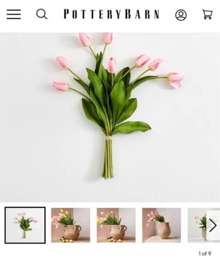 Photo of free Tall faux pottery barn tulip stems (Lafayette) #3