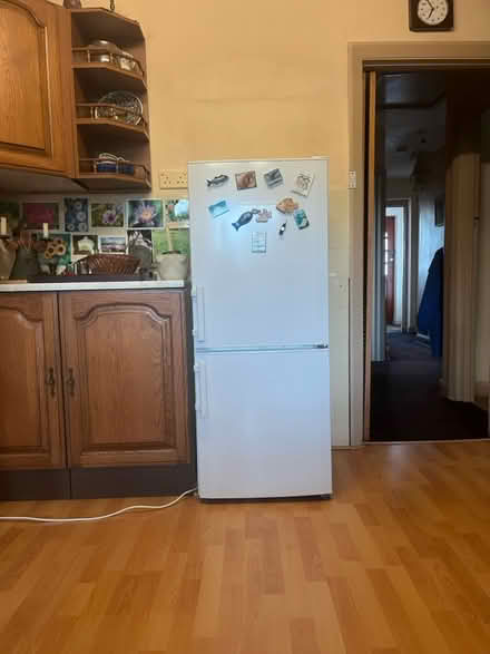 Photo of free Smallish fridge/freezer (N4 2SU) #1
