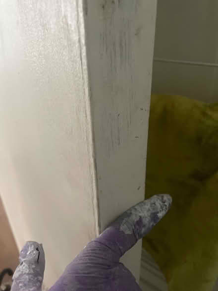 Photo of free White fire door (Merton SW20) #2