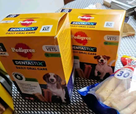 Photo of free Dog biscuits, chews and Dentastix (Aldrington BN3) #2