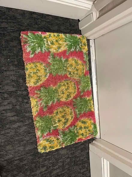 Photo of free pineapple door mat (Adams Morgan (20009)) #1