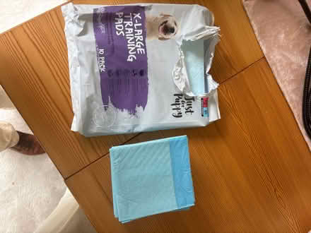 Photo of free Puppy dog training pads x 4 size X-Large and 9 smaller (Devoran TR11) #1