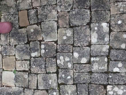 Photo of free Small square stones 16cmx16cm (Portchester PO16) #4