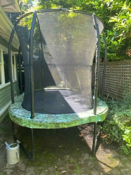 Photo of free Trampoline (Montlake) #1