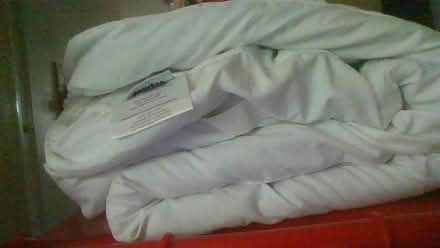 Photo of free mattress topper (BA2) #1