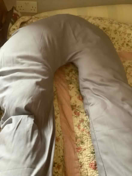 Photo of free Large bed pillow (BS30) #2