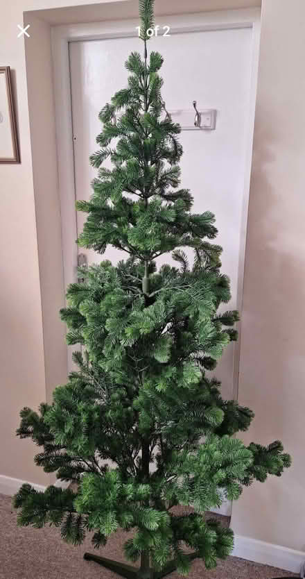 Photo of free Christmas tree (Polegate) #1