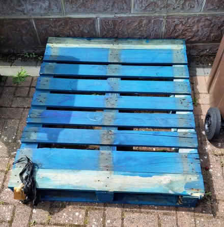 Photo of free Large blue pallet (Hartington Road BN2) #1
