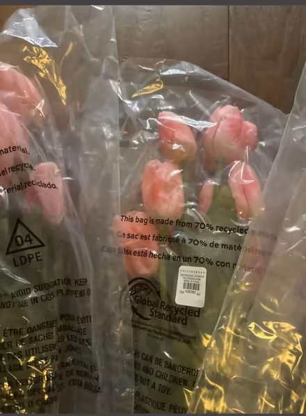 Photo of free Tall faux pottery barn tulip stems (Lafayette) #2