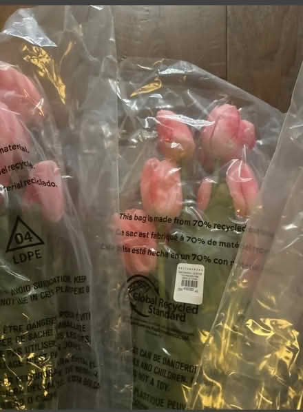 Photo of free Tall faux pottery barn tulip stems (Lafayette) #2