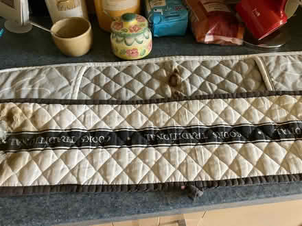 Photo of free Well-used oven gloves (Newport Pagnell MK16) #1