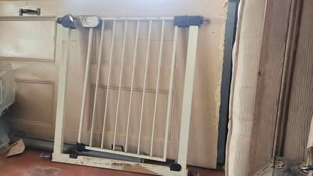 Photo of free Dog gate (Knighton) #2
