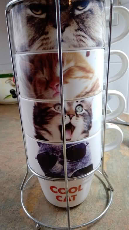 Photo of free 4 x cat mugs (Orton Goldhay) #1