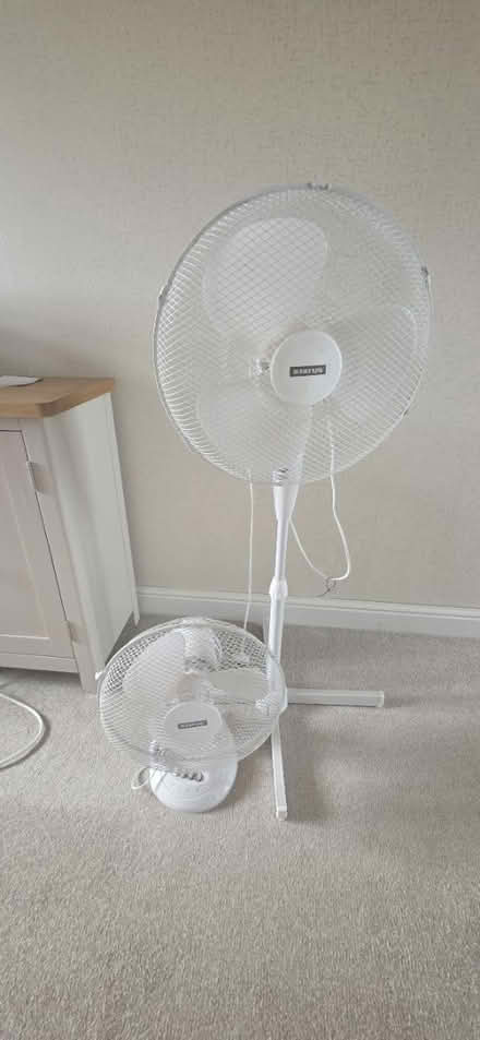 Photo of free Fans (SY13 3 near whitchurch) #1
