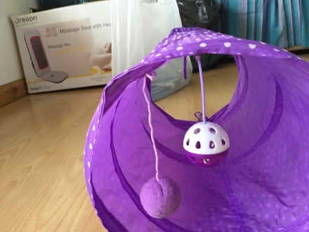 Photo of free Cat play tunnel (Eye) #2