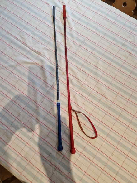 Photo of free Riding crops x 2 (Arborfield Garrison RG2) #1