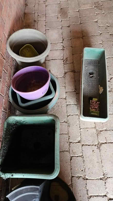 Photo of free Various plastic plants pots (LD8) #1