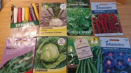 Photo of free Veg and flower seeds (Stockbridge, Edinburgh EH3) #1