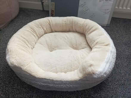 Photo of free Cat bed (Gosport PO13. BRIDGEMARY) #1