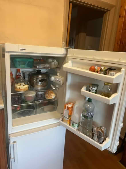 Photo of free Smallish fridge/freezer (N4 2SU) #3