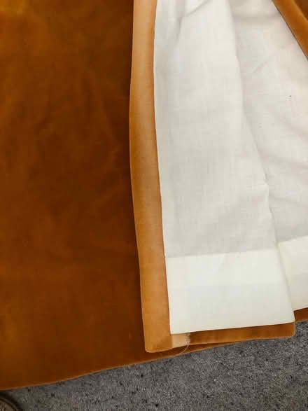 Photo of free Velvet curtains (Admaston telford) #2