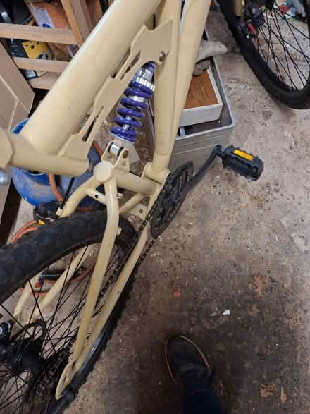Photo of free Bicycle (South Green CM11) #3