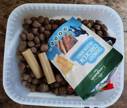 Photo of free Dog biscuits, chews and Dentastix (Aldrington BN3) #1