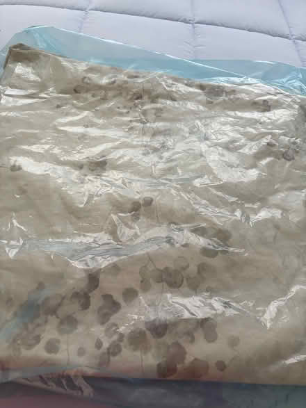 Photo of free Comforter Cover and Shams (San Rafael - Terra Linda) #1