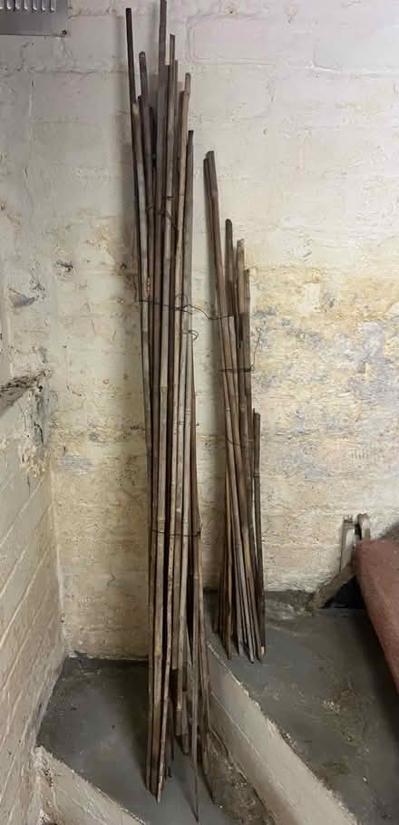 Photo of free Garden Canes x approx 50 (SK4) #1