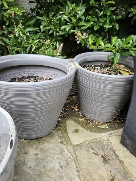 Photo of free Plastic plant pots (Slyne-with-Hest LA2) #2