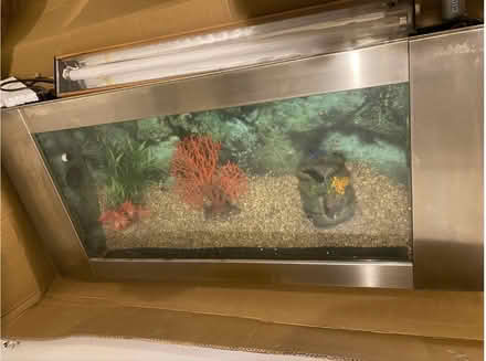 Photo of free Fish tank (Bray near Killarney Hieghts) #2