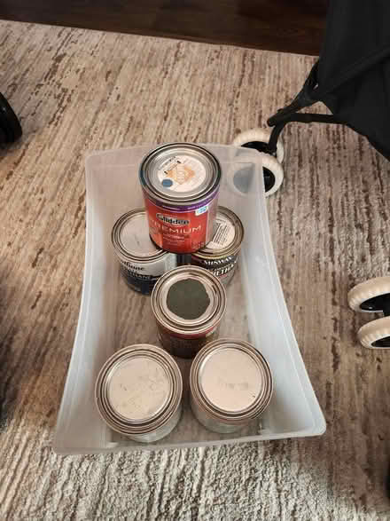 Photo of free Misc quarts of paint (Tatum and cactus area) #1