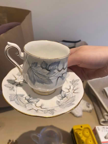 Photo of free Mini fine tea cup (EH3 9GY) #1