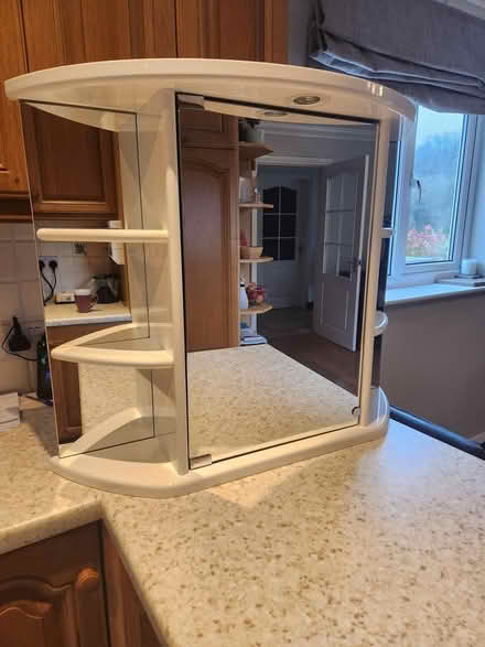 Photo of free Large bathroom cabinet (HR9 5QX) #1