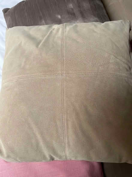 Photo of free 6 cushions complementary colours (Langstone) #4