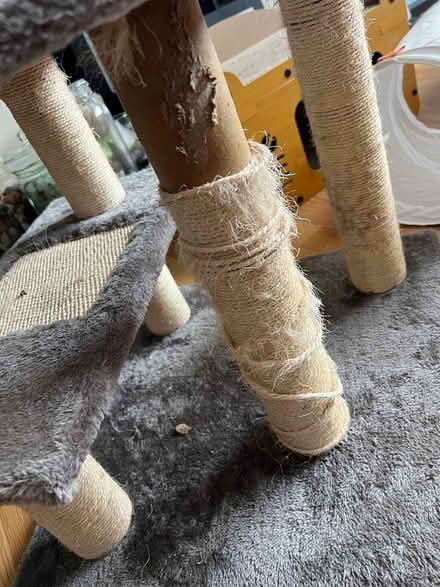 Photo of free Cat tree (Horden, SR8) #2