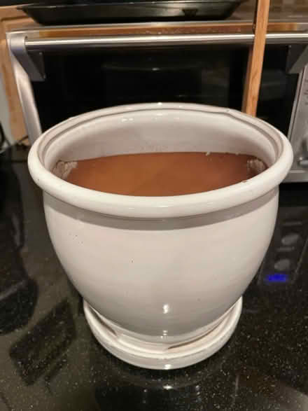 Photo of free Two White Plant Pots (Near 11 and Woodward) #4