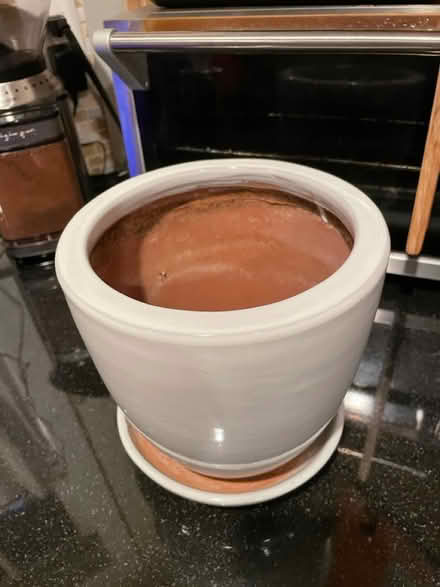 Photo of free Two White Plant Pots (Near 11 and Woodward) #1