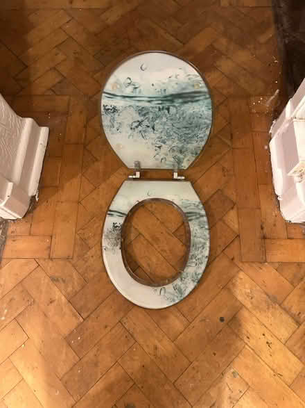 Photo of free Toilet seat (Isleworth TW7) #3