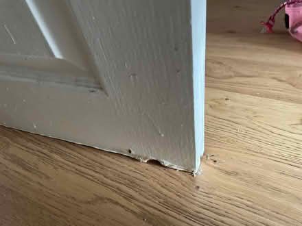 Photo of free 2 internal doors (L17) #2