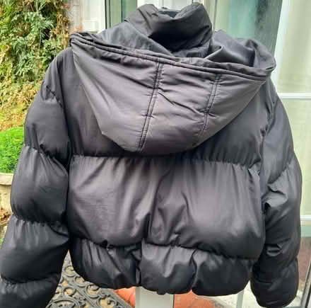 Photo of free Women's Short Puffer Jacket/ Coat with Hood-Black/Size 14 (Surbiton KT6) #2