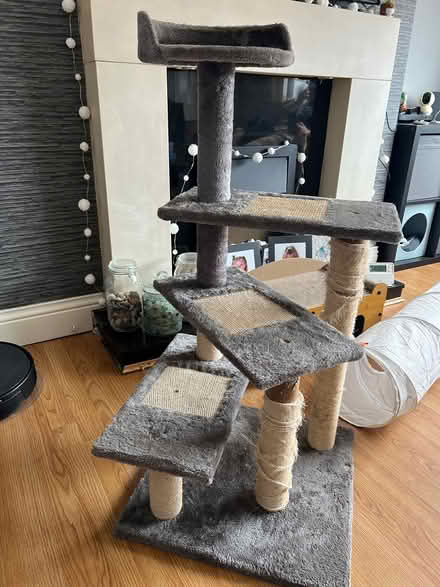 Photo of free Cat tree (Horden, SR8) #1