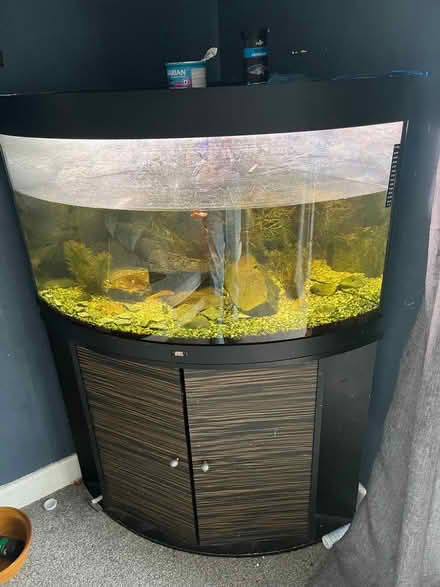 Photo of free Fish tank and fish. (Kidlington OX5) #1