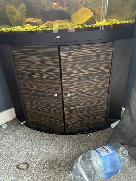 Photo of free Fish tank and fish. (Kidlington OX5) #2