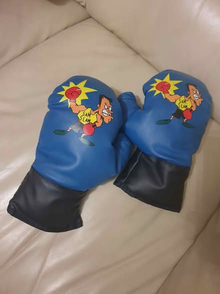 Photo of free Smyths kids punching bag (Dublin 16) #2