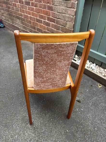 Photo of free 6 dining chairs. Solid wood / padded (Wilmslow SK9) #2